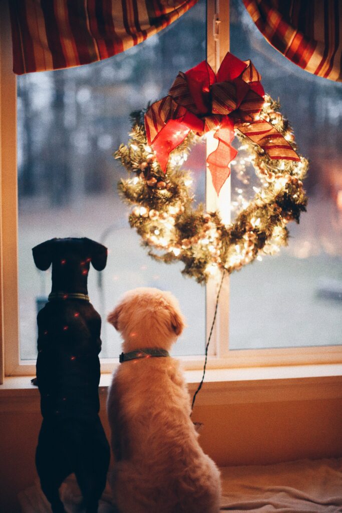 Décoration de noël, chiens regardant par la fenêtre le paysage de noël 