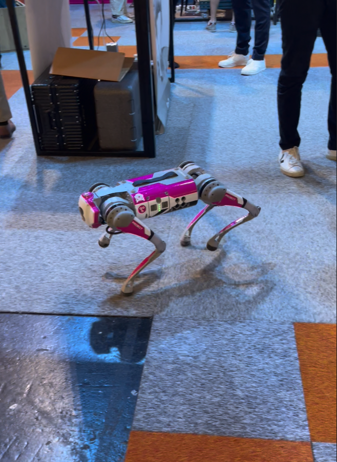 Boston dynamics