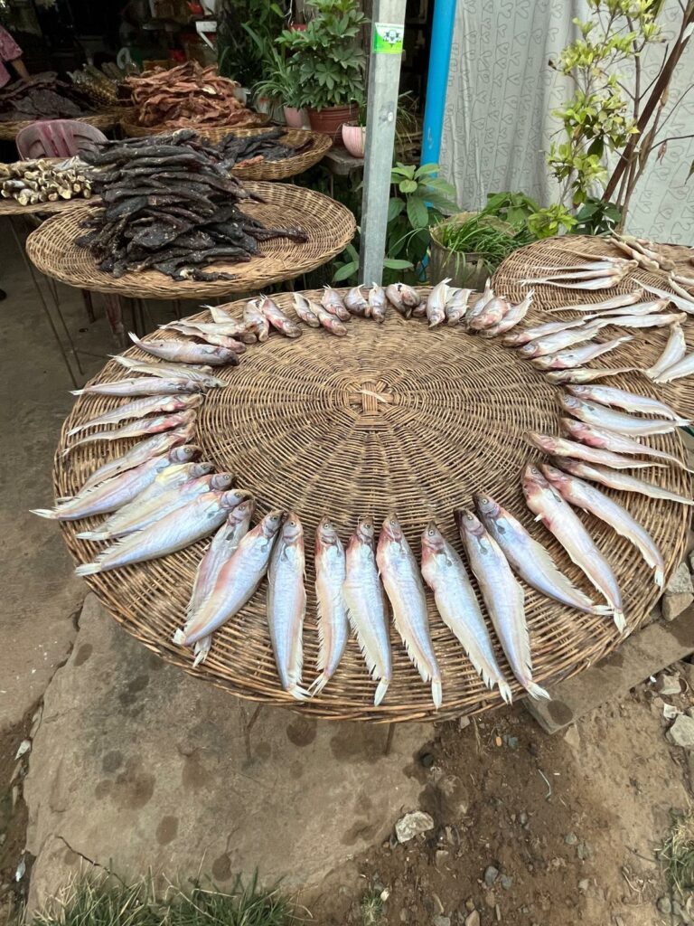 poisson cambodgien