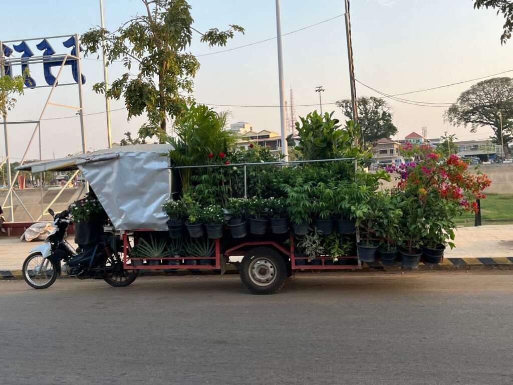 transport de plantes au cambodge