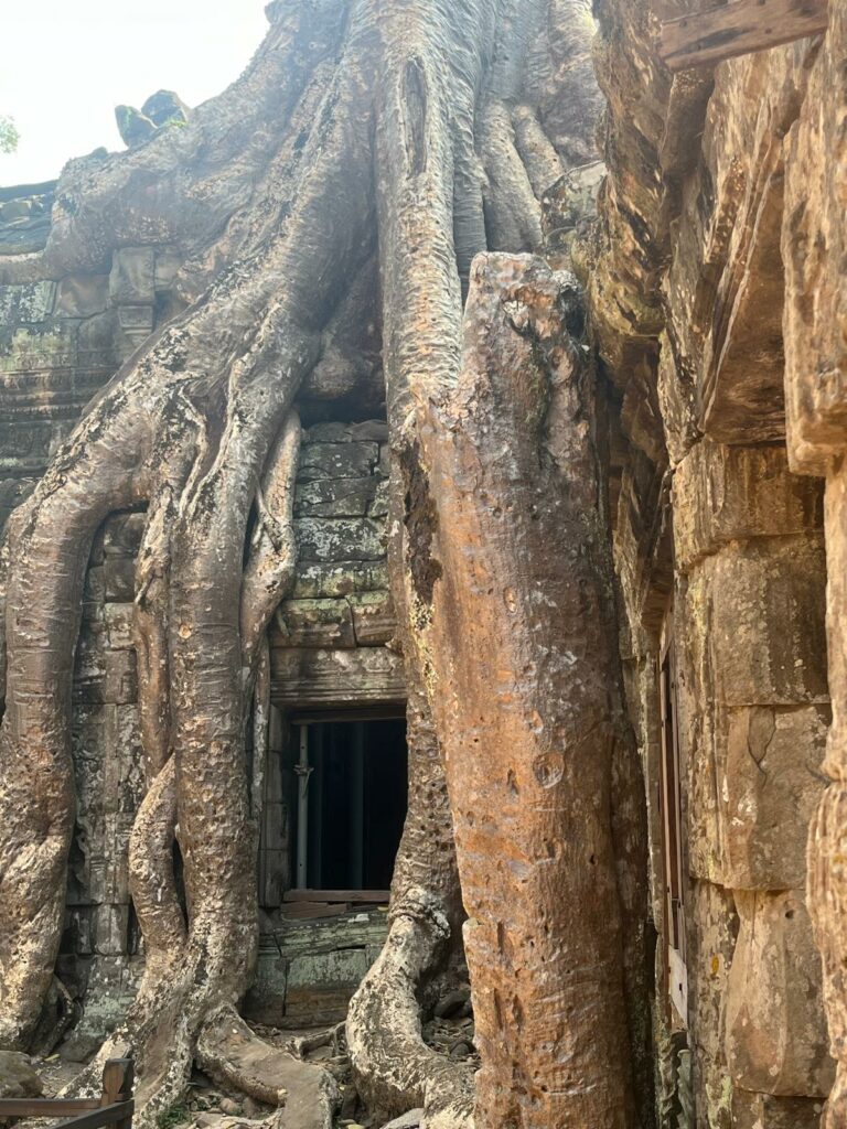 Un Périple Cambodgien en gravel 